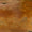 Barn Board Clear.jpg